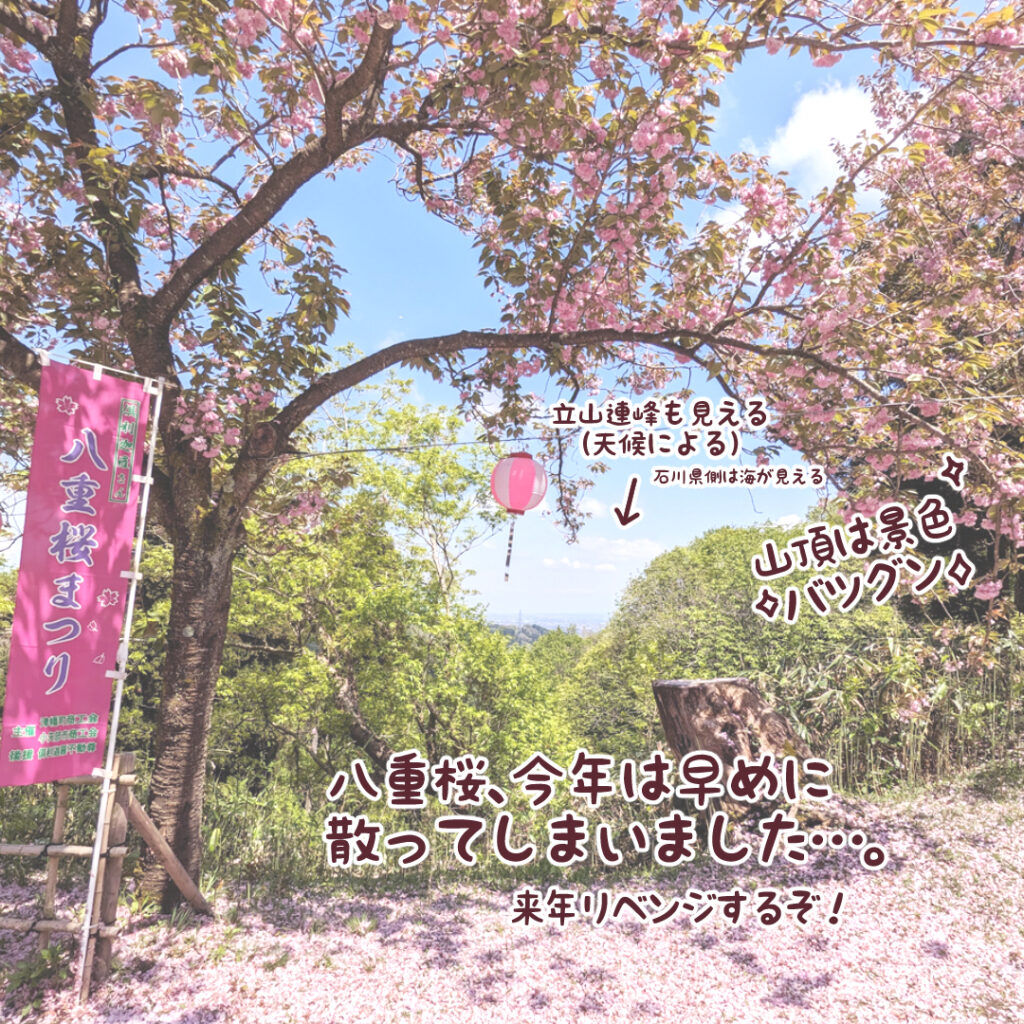 倶利迦羅峠で開催中「八重桜まつり」に行ってきました｜仏像イラストレーター・カワモトトモカ